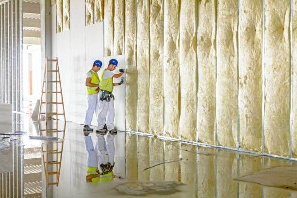 Best Residential Insulation in Flora Vista, NM